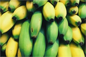 中国香蕉市场“青黄不接”，多是云南西双版纳香蕉推迟上市“惹的祸”