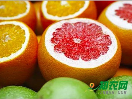 中国：2017年度柚子产业解析
