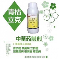 草莓根腐与炭疽的区分与防治 青枯立克