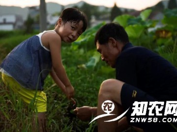 家庭农场如何定位?什么样的家庭农场模式适合农民经营?