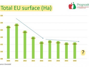 欧盟28国的梨类总种植面积持续下降