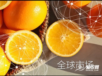 全球市场报告：橙子