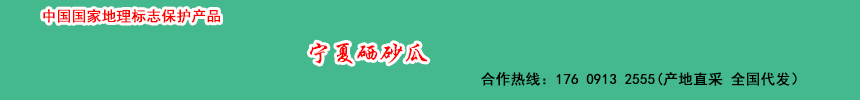 宁夏硒砂瓜