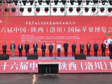 第十六届中国·陕西（洛川）国际苹果博览会开展