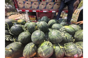 陕西蒲城幕田家宝