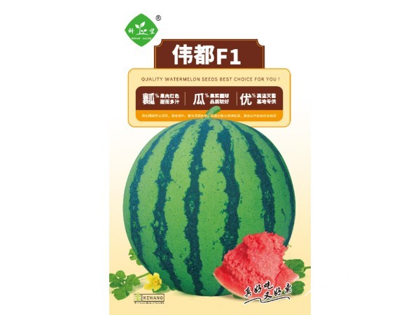 2026高端优质西甜瓜品种火爆热销图2