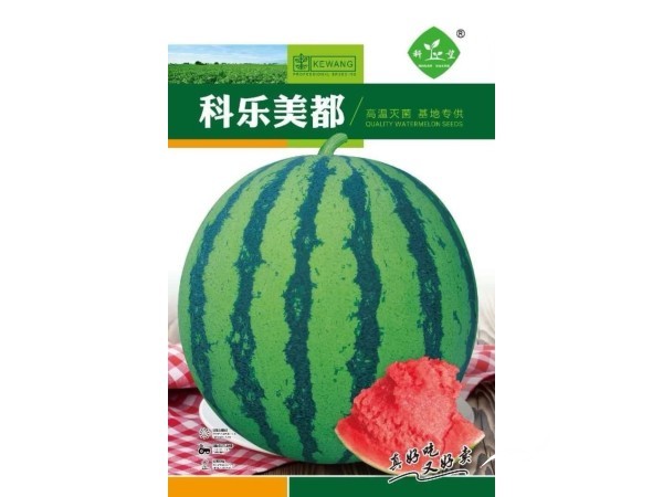 2026高端优质西甜瓜品种火爆热销图3