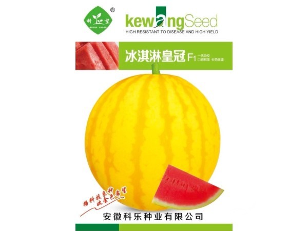 2026高端优质西甜瓜品种火爆热销图6