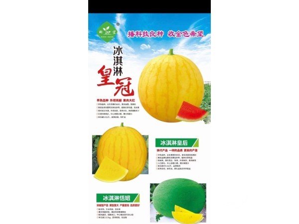 高品质优质西瓜种子火爆热销中图2