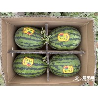 求购蒲城4K西瓜