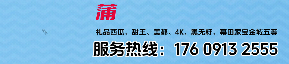 蒲城西瓜甜蜜上市