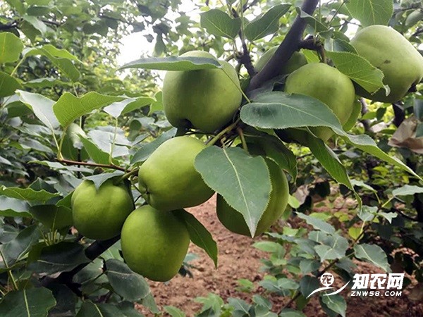 微信图片_20180622154734.jpg